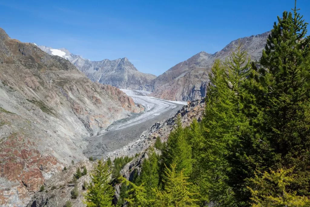 the glacier from aletschwald