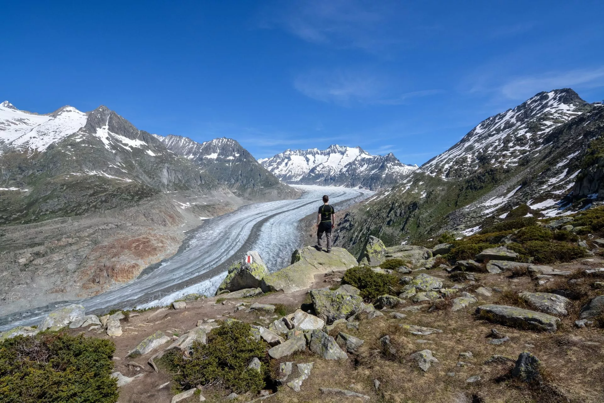 vista sobre el glaciar aletsch